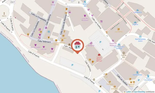 Imagen del negocio Escuela de Baile María Legarda La Gomera en Valle Gran Rey, Santa Cruz de Tenerife