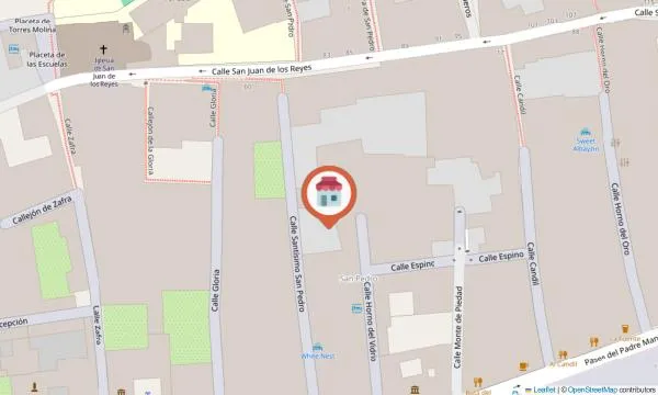 Imagen del negocio Irene La Serranilla "Escuela de Flamenco Granada" en Granada, Granada