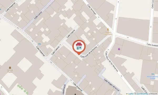 Imagen del negocio Vive Flamenco en Sevilla, Sevilla