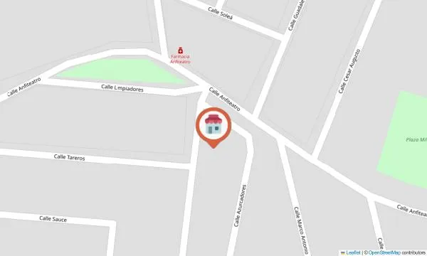 Imagen del negocio Academia de Música Olé online en Carmona, Sevilla