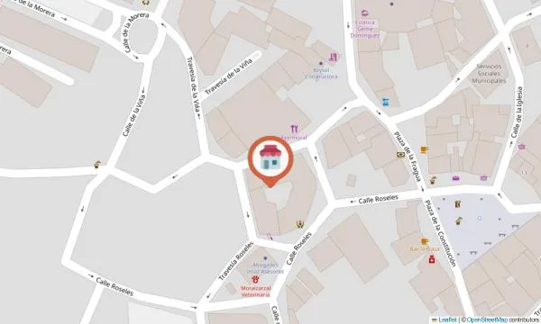 Imagen del negocio Tienda de Ballet, Danza y Flamenco - Chasse Dance en Moralzarzal, Madrid