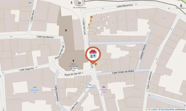 Imagen del negocio Flamenco y Mas. Zapatos Baile Flamenco, Vestuario Flamenco. Flamenco Shoes en Sevilla, Sevilla